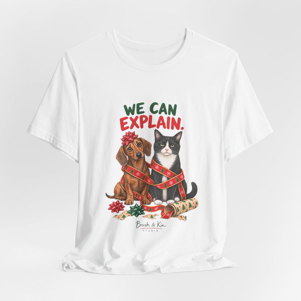 We Can Explain Christmas Pet Tee — Funny Dog & Cat T-Shirt