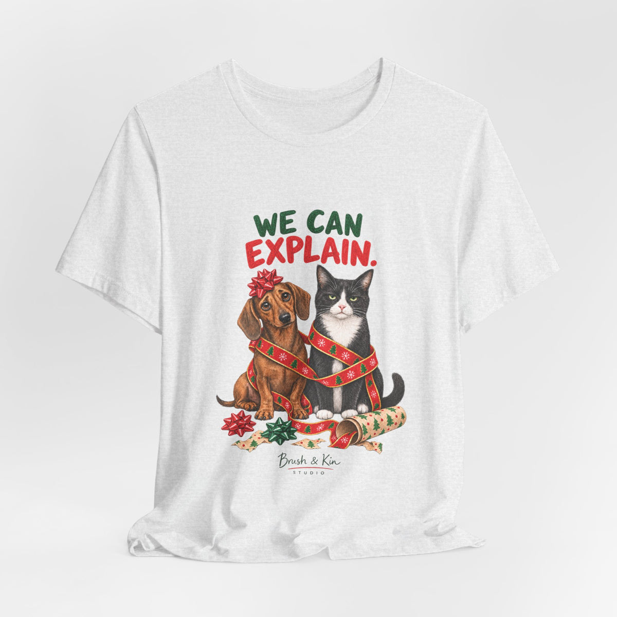 We Can Explain Christmas Pet Tee — Funny Dog & Cat T-Shirt