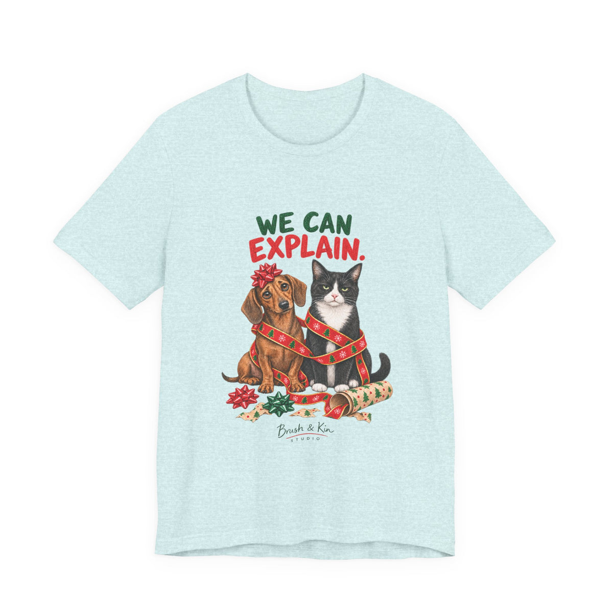 We Can Explain Christmas Pet Tee — Funny Dog & Cat T-Shirt